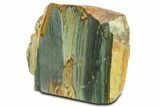 Free-Standing, Gary Green Jasper (Larsonite) Bog Wood - Oregon #334855-1